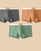 Grey, Rust and Green / L
