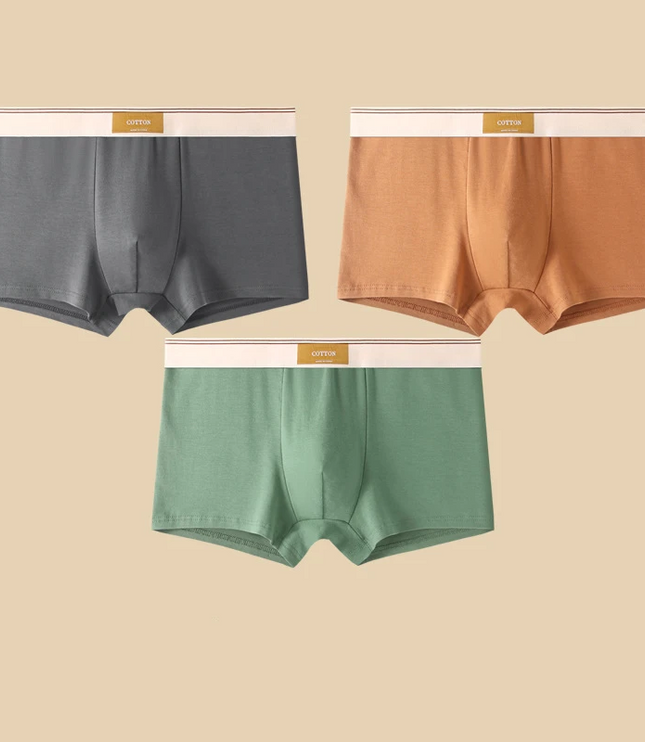 Men's 3 Pack Boxer Shorts with Striped Waistband