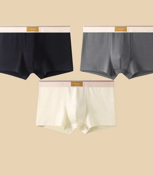 Men's 3 Pack Boxer Shorts with Striped Waistband
