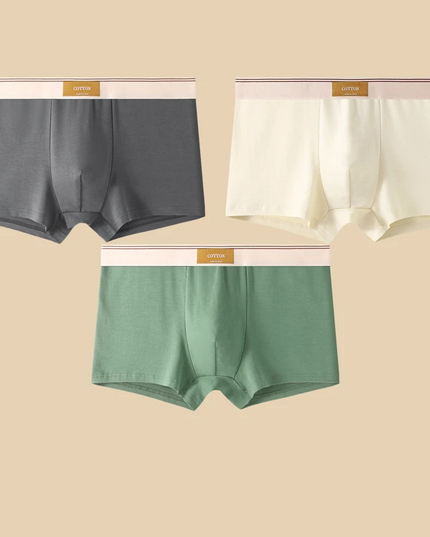 Men's 3 Pack Boxer Shorts with Striped Waistband