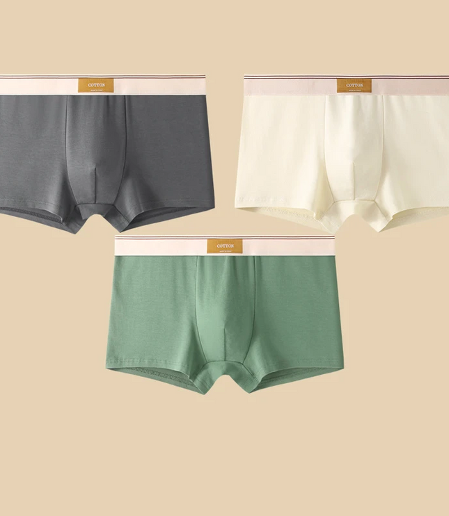Men's 3 Pack Boxer Shorts with Striped Waistband