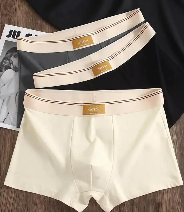 Men's 3 Pack Boxer Shorts with Striped Waistband