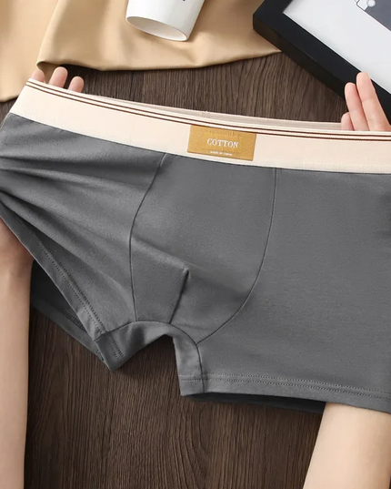 Men's 3 Pack Boxer Shorts with Striped Waistband
