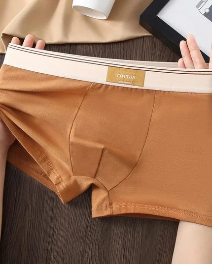 Men's 3 Pack Boxer Shorts with Striped Waistband