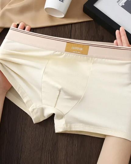 Men's 3 Pack Boxer Shorts with Striped Waistband