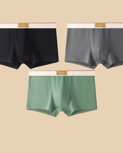 Men's 3 Pack Boxer Shorts with Striped Waistband