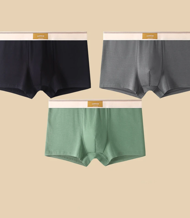 Men's 3 Pack Boxer Shorts with Striped Waistband