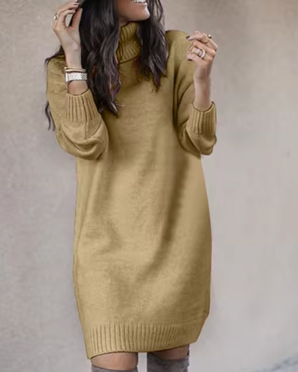 Women's Plain Knitted Roll Neck Jumper Dress