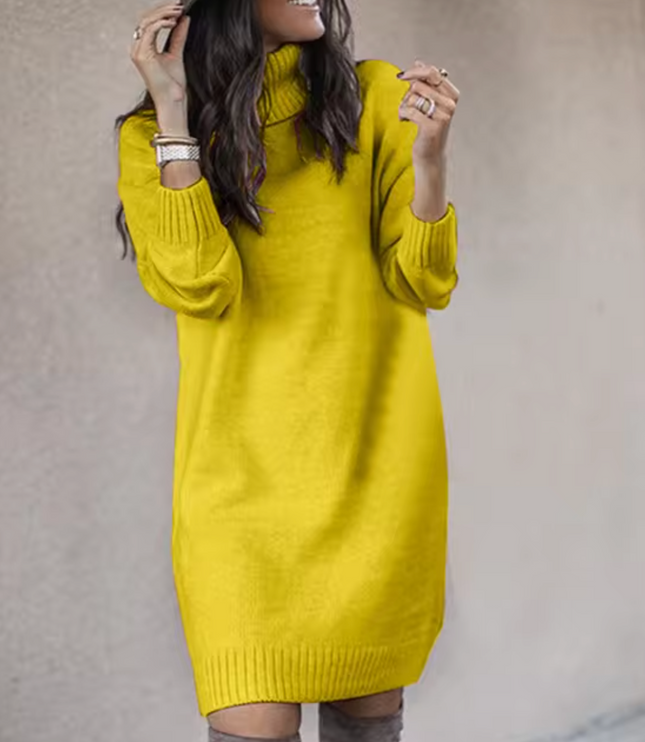 Women's Plain Knitted Roll Neck Jumper Dress