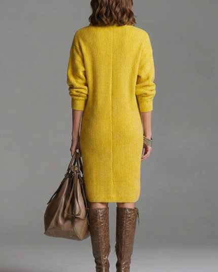 Women's Ribbed Jumper Dress with High Collar and Button Placket