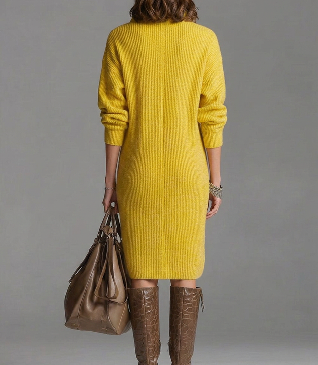 Women's Ribbed Jumper Dress with High Collar and Button Placket