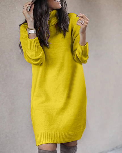 Women's Roll Neck Jumper Dress with Ribbed Cuffs and Hem