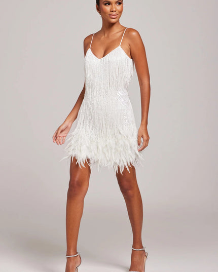 Women's V-Neck Mini Feather Fringe Party Dress